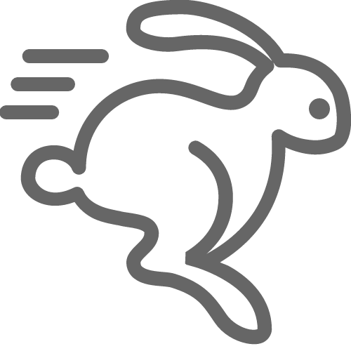 running-rabbit-icon