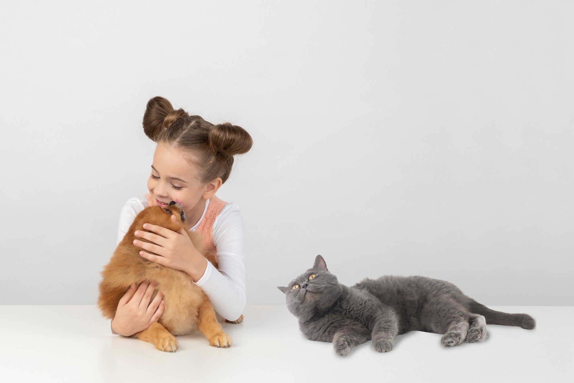 free stock photos with cats
