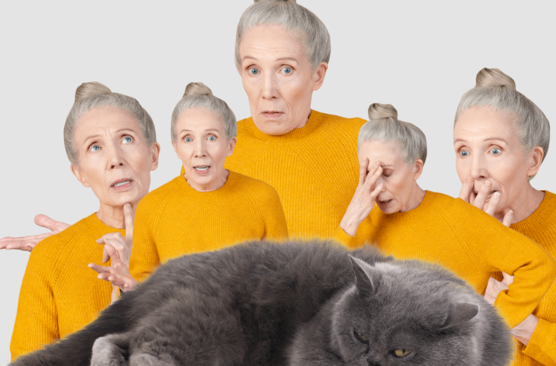 woman with different face expressions and a cat