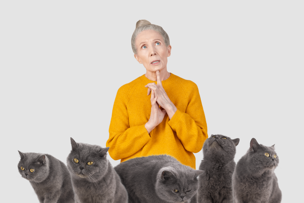 woman with multiple cats cat