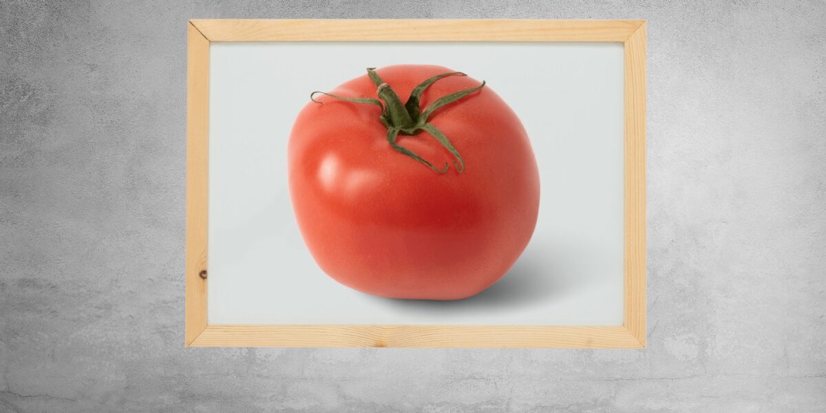 The Tomatoes, Legends of the Multi Universe Wiki