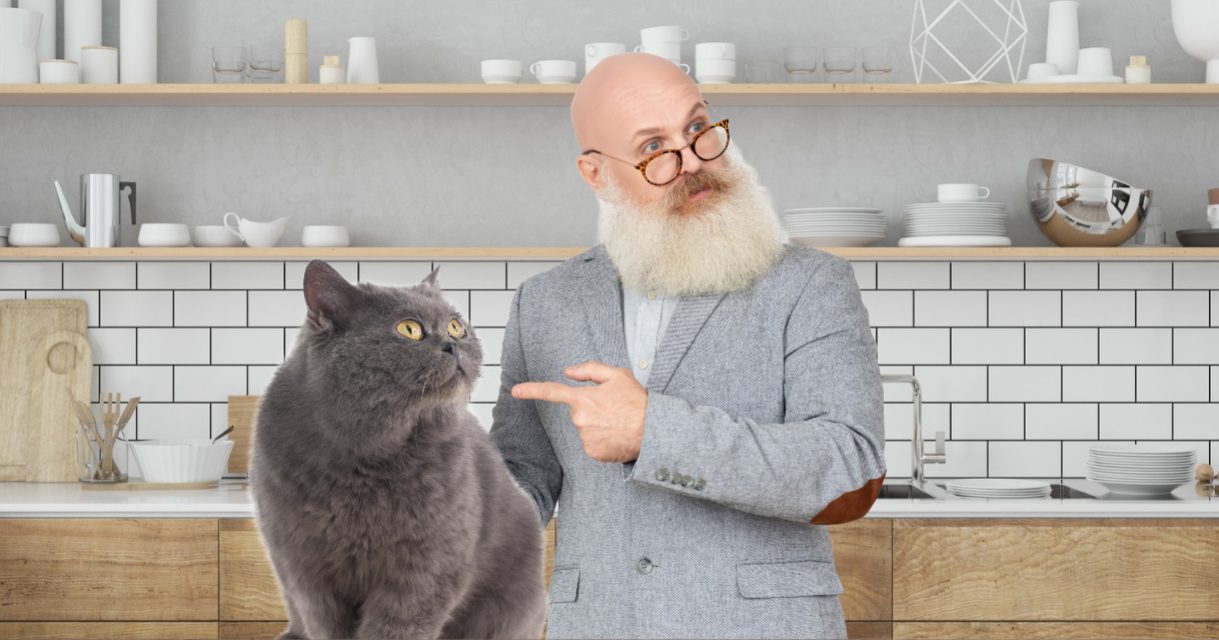 Catgratulations: special collection of frisky graphics for International Cat Day: An elderly man pointing a finger at a cat