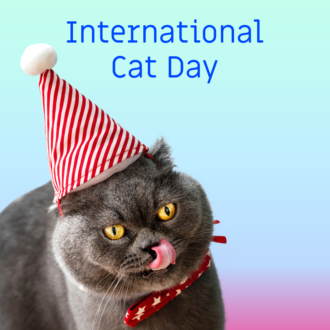 Catgratulations: special collection of frisky graphics for International Cat Day: cat day media template
