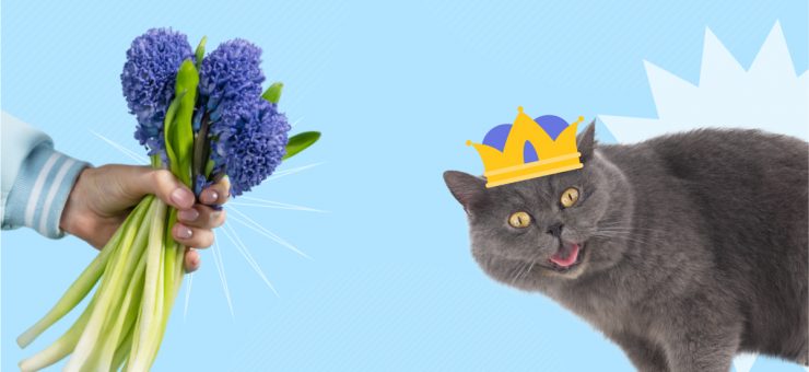 Catgratulations: special collection of frisky graphics for International Cat Day