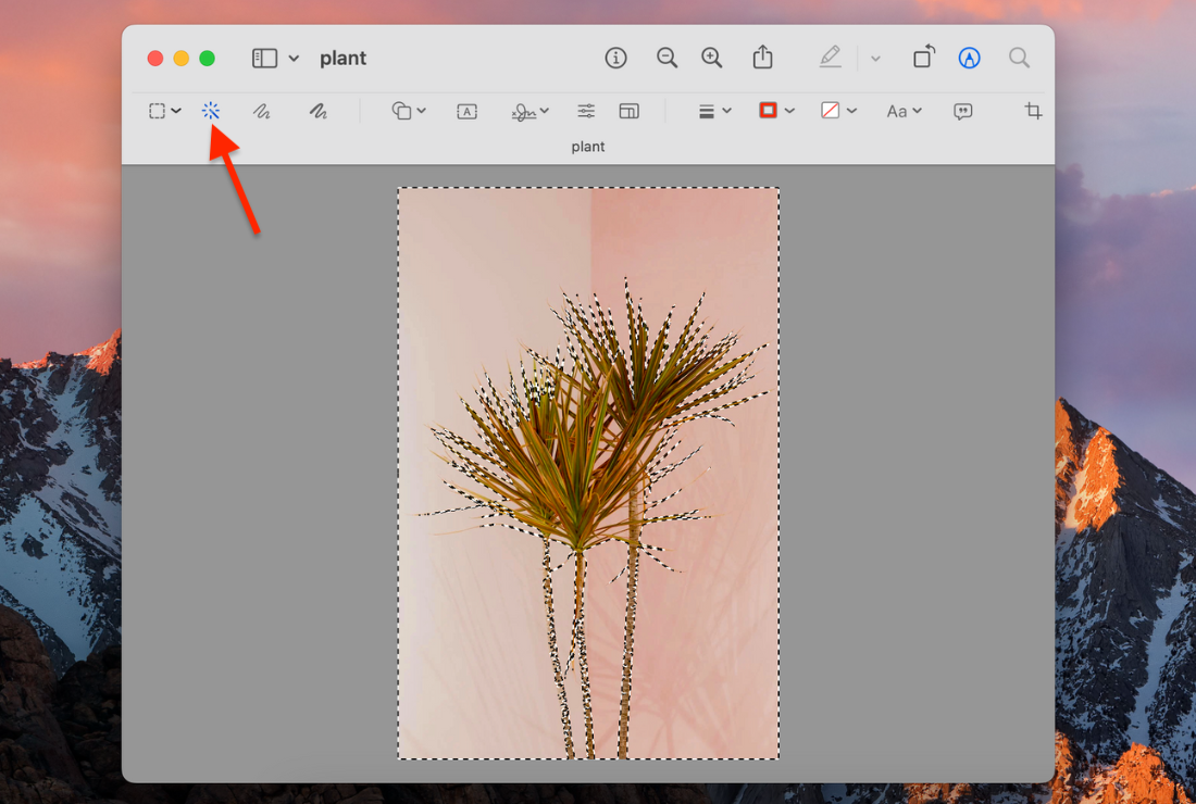 The Easiest Way to Remove a Picture's Background on Mac