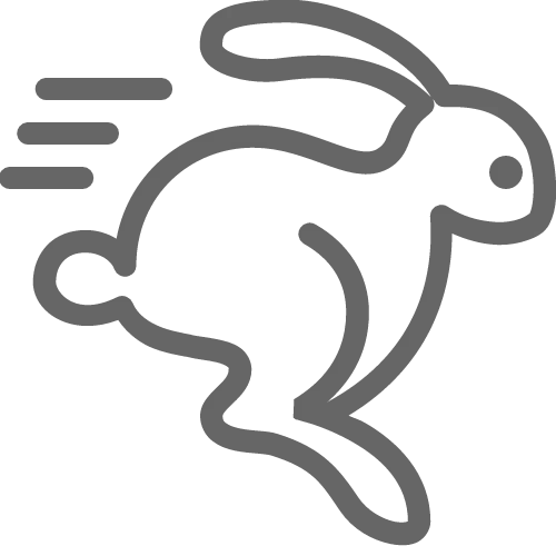 running-rabbit-icon