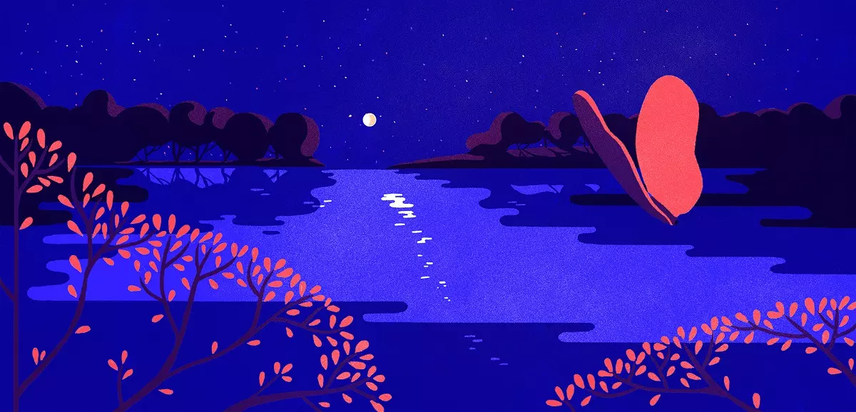 digital illustration tom haugomat