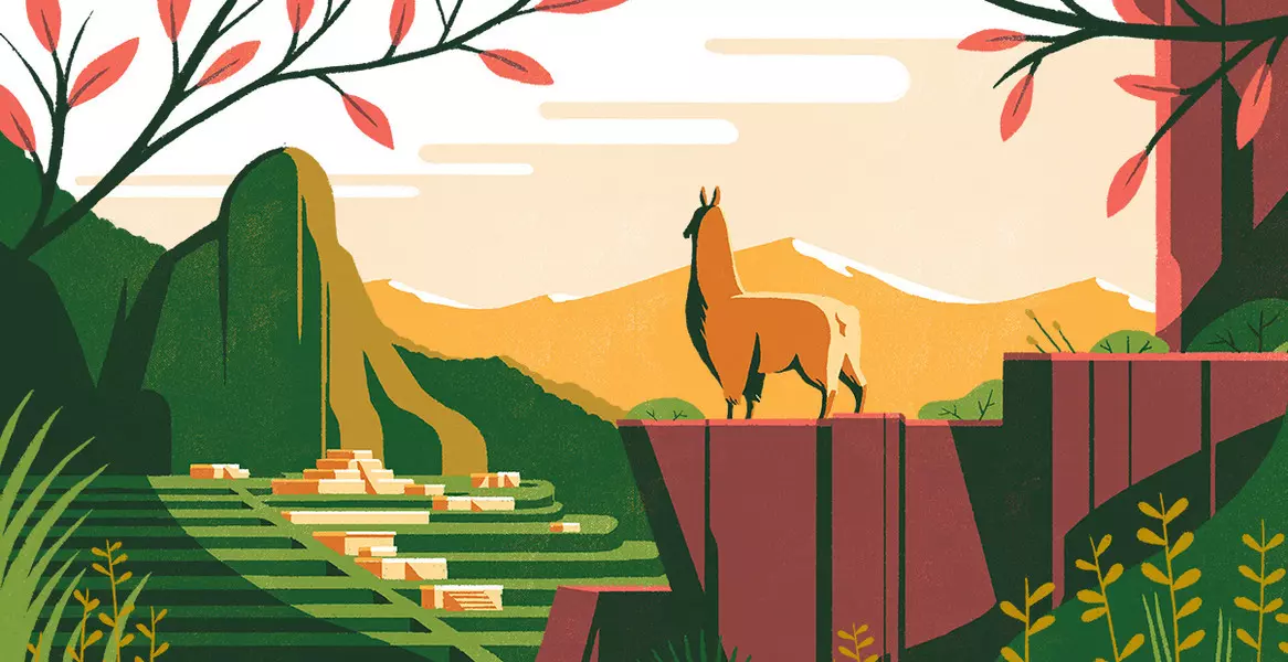 digital illustration tom haugomat