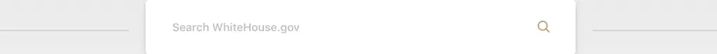 user experience search design