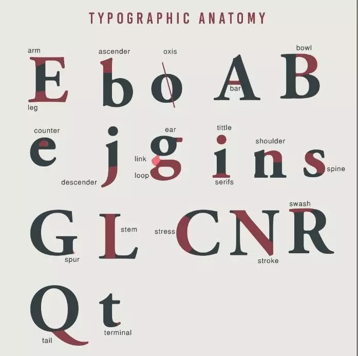 typography basics